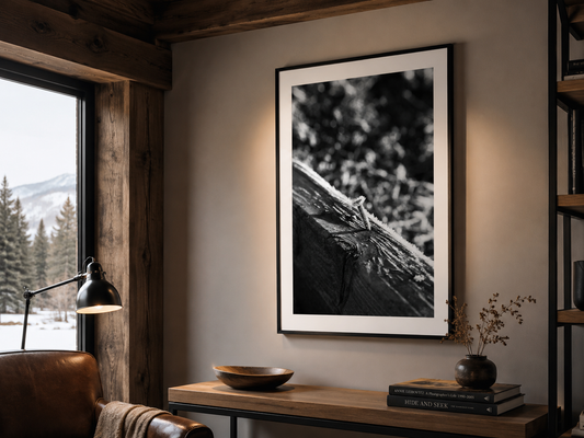 Frost and Nail – Black and White Fine Art Detail Photograph