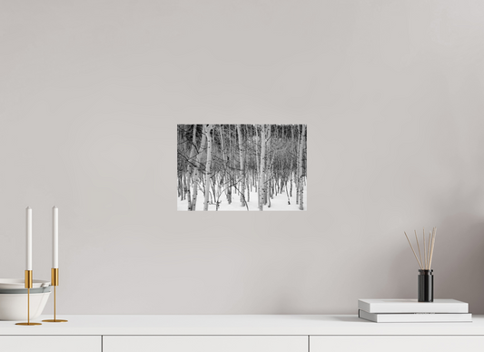 12 x 8″, -Giclée Fine Art Print Wasatch Aspen