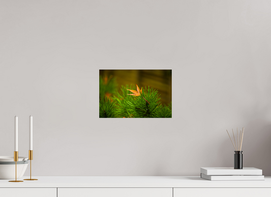 12 x 8″, -Giclée Fine Art Print After the Rain | Maple on Pine