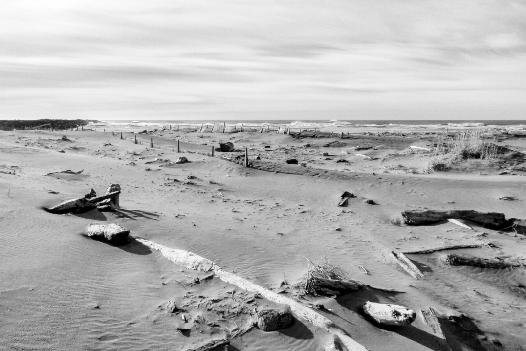 Black and White Fine Art Collection - Mike Dorman Creative Photography