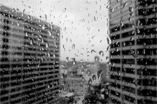 Main image Rain on the 40th Floor – Seattle Black and White Fine Art Photography