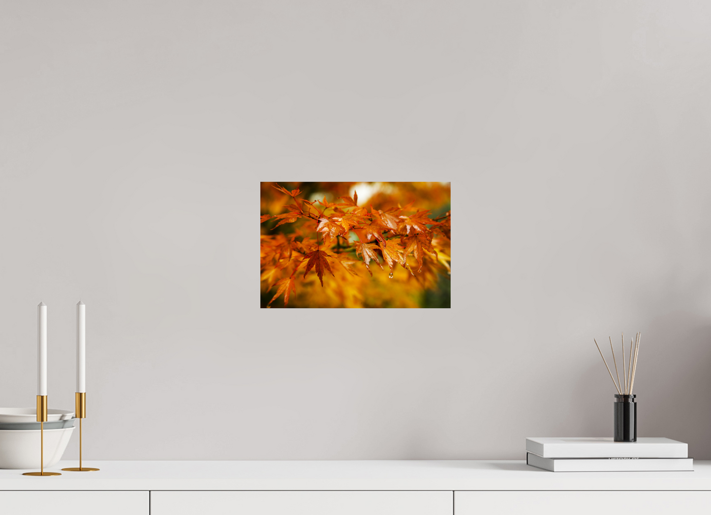12 x 8″, -Photo Print on Fuji Crystal DP II After the Rain | Japanese Garden Maple