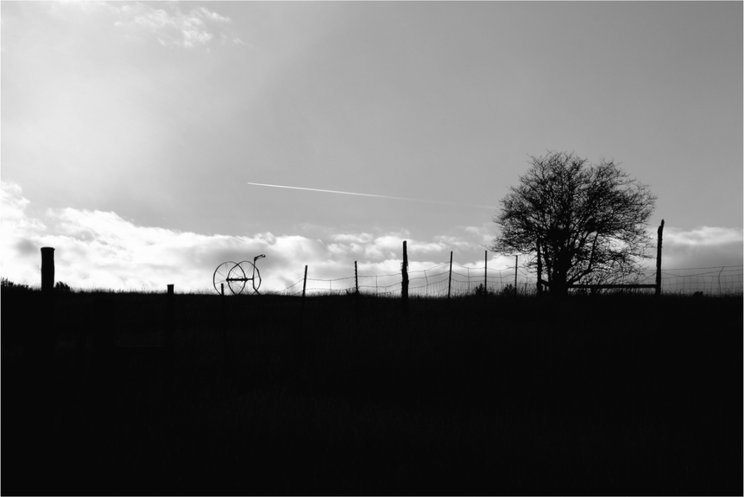 Main image Hose Cart