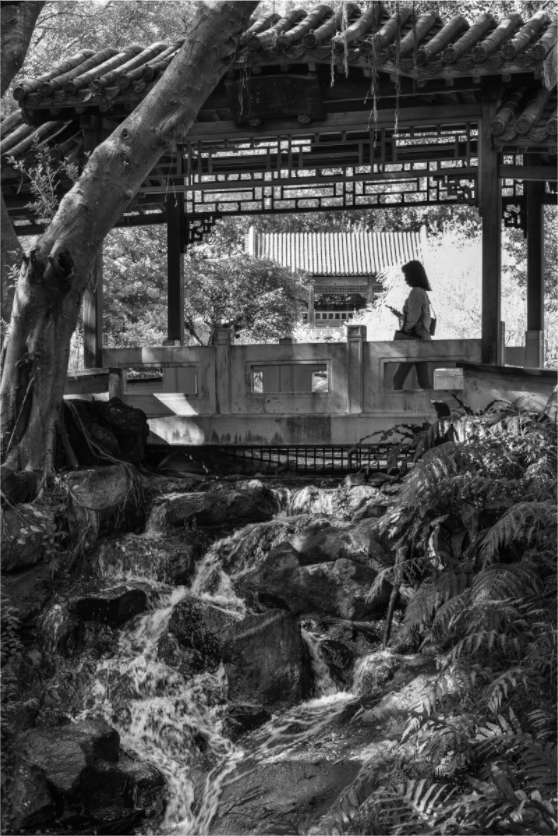 Main image Afternoon in  Zhishan Gardens National Palace Museum Fine Art Black and White Photograph Taipei Taiwan