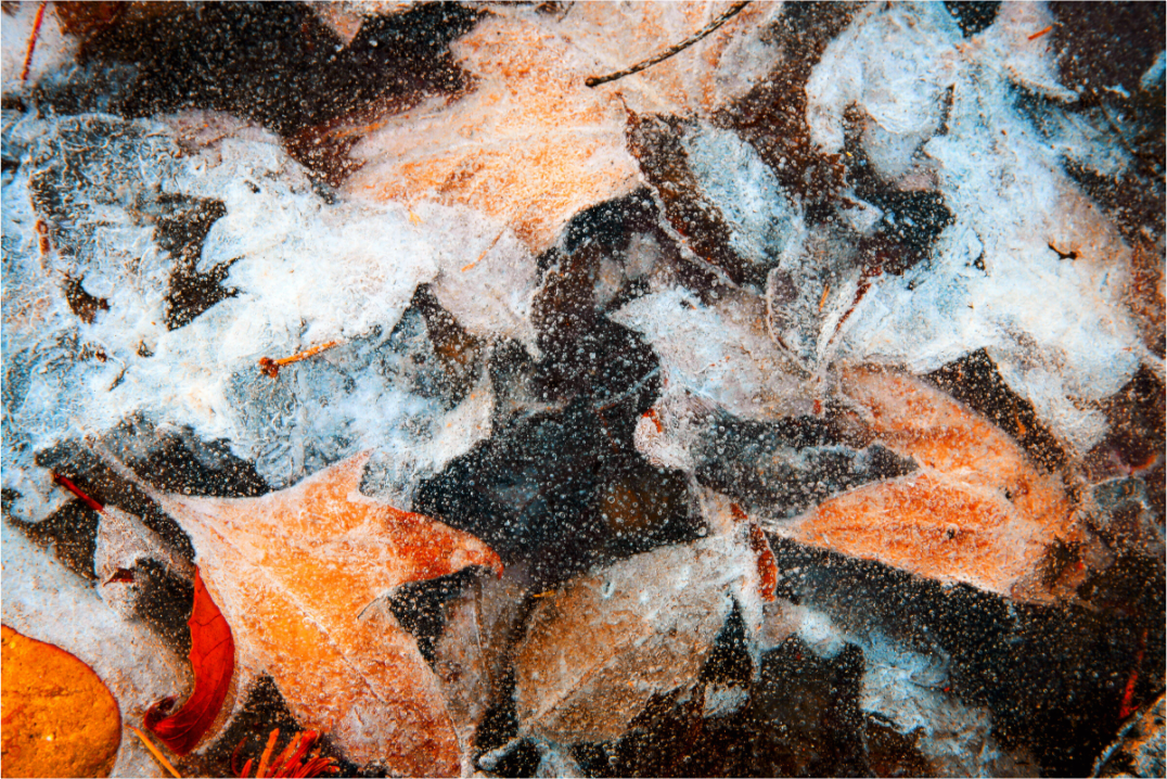 Main image Autumn in Ice