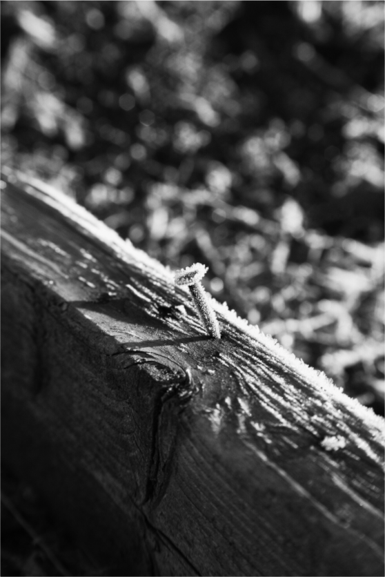 Main image Frost and Nail