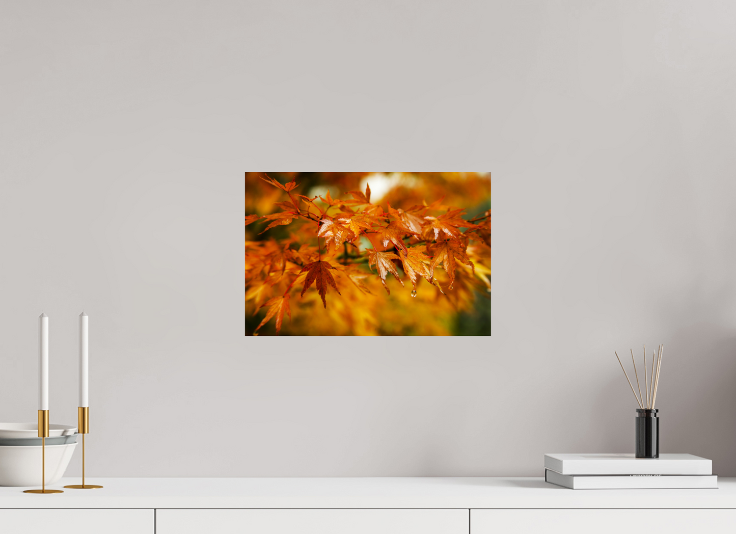 15 x 10″, -Photo Print on Fuji Crystal DP II After the Rain | Japanese Garden Maple