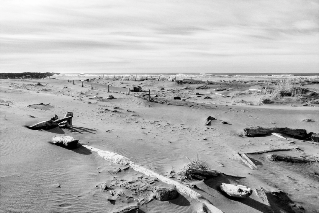 Main image Edge of the Pacific Cape Disappointment in Black and White
