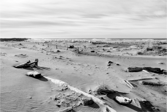 Main image Edge of the Pacific Cape Disappointment in Black and White