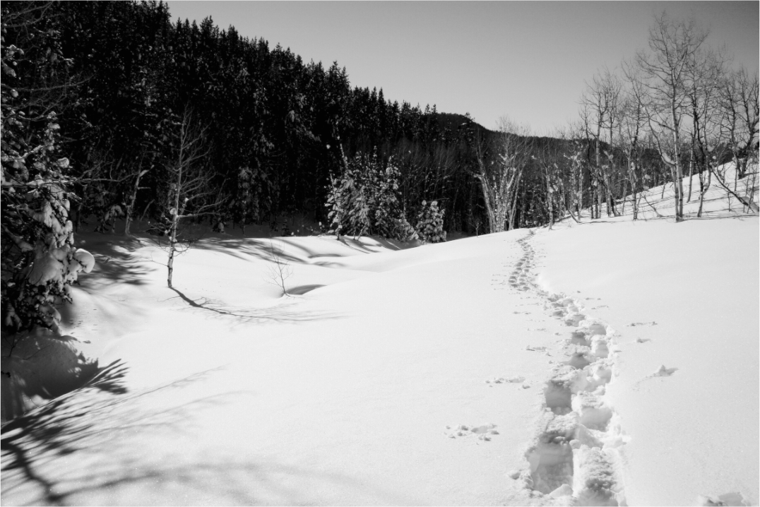 Main image Snowshoe | A Journey Through Utah’s Backcountry