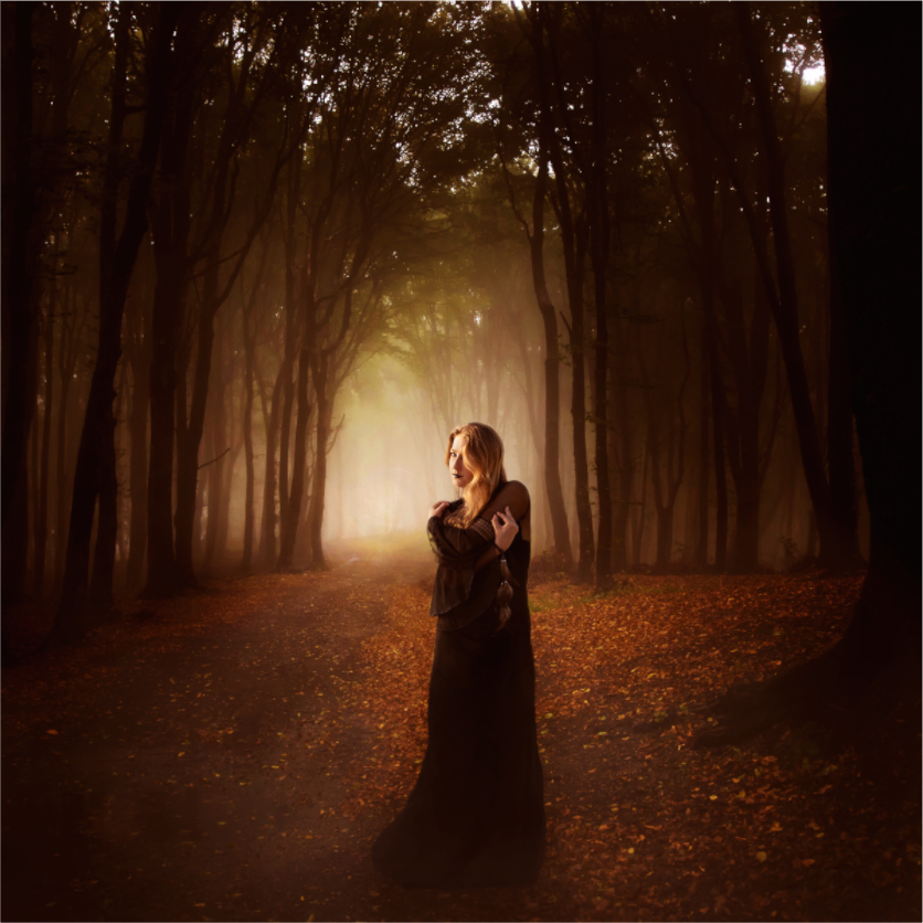 Main image Sentinel Fine Art Surrealism • Fantasy • Atmospheric Narrative