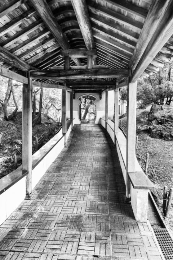Main image Walkway Zhishan Garden National Palace Museum Black and White Fine Art Photograph Taipei Taiwan