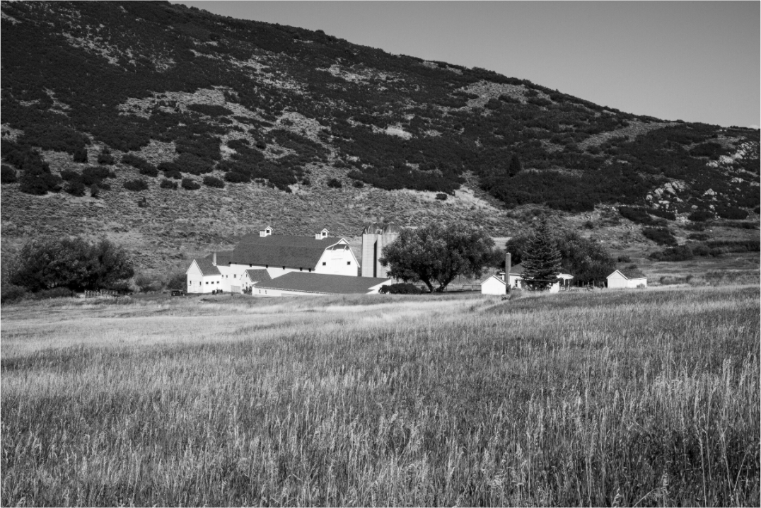 Main image McPolin Farm | The Farm in Autumn Light