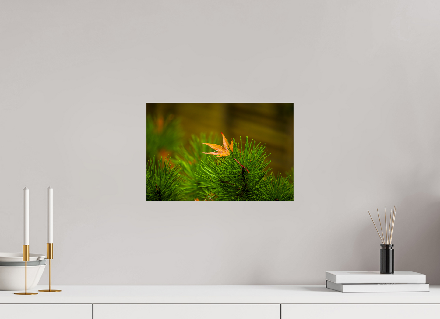 15 x 10″, -Giclée Fine Art Print After the Rain | Maple on Pine