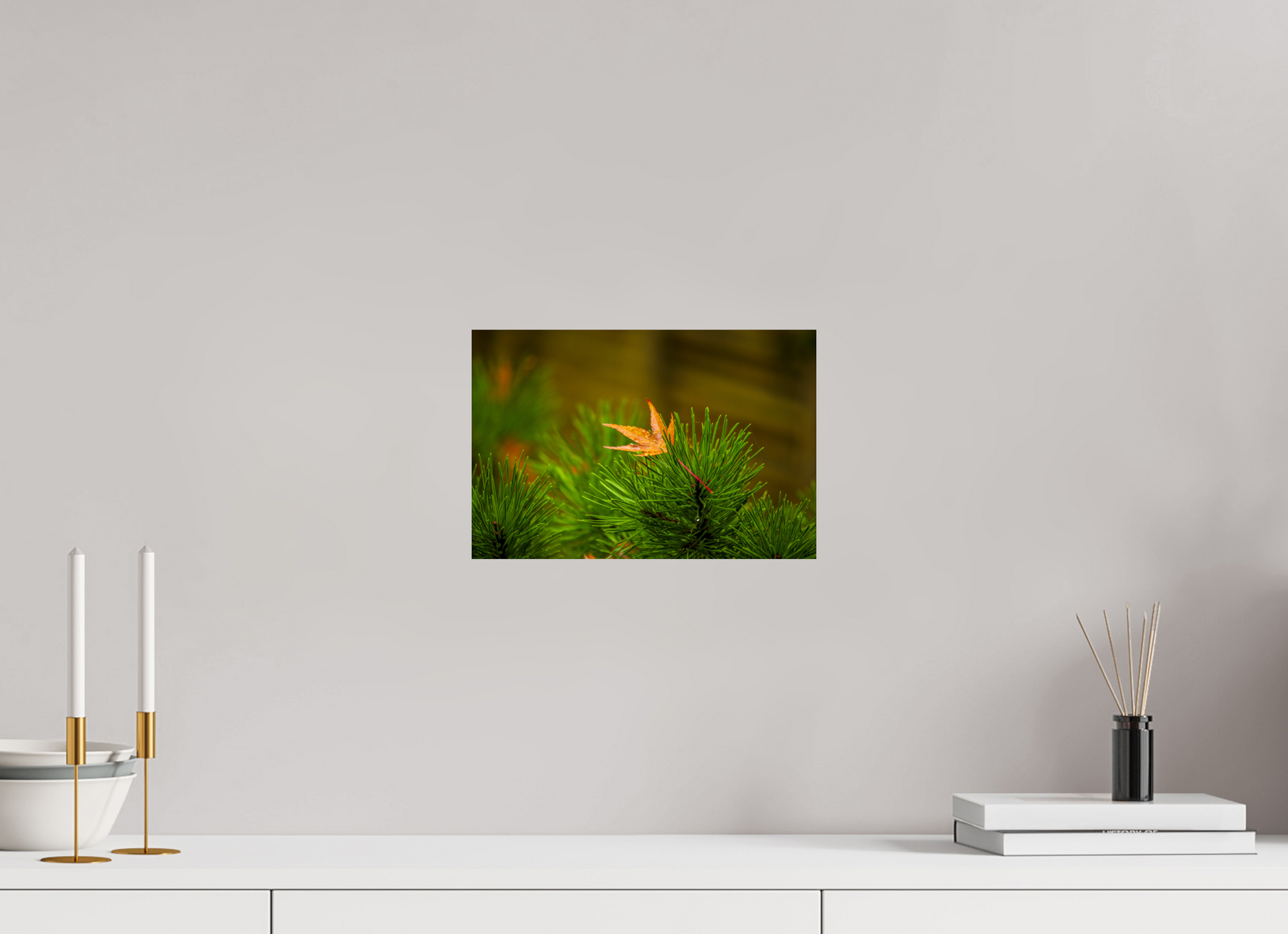 12 x 8″, -Giclée Fine Art Print After the Rain | Maple on Pine