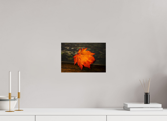 12 x 8″, -Giclée Fine Art Print After the Rain | Leaf on Wood